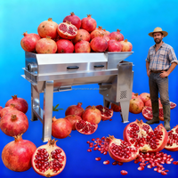 Hoog rendement volautomatische granaatappel-passievrucht zaadontpitter/scheider machine voor fruitverwerking, extractie en schillen