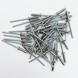 Le fabricant fournit des rivets aveugles <span class=keywords><strong>à</strong></span> <span class=keywords><strong>tête</strong></span> fraisée entièrement en fer, des rivets aveugles <span class=keywords><strong>à</strong></span> <span class=keywords><strong>tête</strong></span> <span class=keywords><strong>ronde</strong></span> en aluminium et des rivets aveugles. - Product Image 6