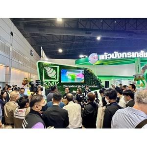 ยาหม่องสมุนไพรฮ่องไทยแท้ สูตรดั้งเดิม ขายดี ผลิตจากวัตถุดิบธรรมชาติ อบแห้งด้วยลมร้อน 2 ชนิด คามฟอร์ เมนทอล บอร์นออล เพื่อสุขภาพ - Product Image 6