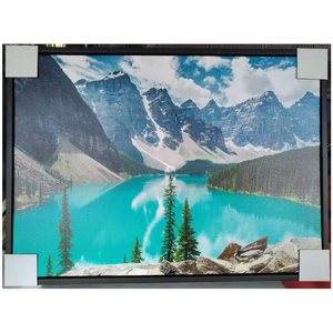 Impresión de Arte Animal Moderno en Color Hermoso, Pintura Decorativa de Pavo Real en Relieve, Impresión <span class=keywords><strong>Digital</strong></span> en <span class=keywords><strong>Lienzo</strong></span> - Product Image 5