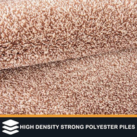 Tapis de bain shaggy résistant à l'usure, lavable en machine, motif écureuil mignon, tapis de sol pour salle de bain