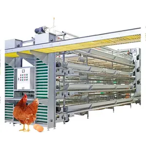 Venta caliente automática capa de pollo jaula de aves de corral granja equipo