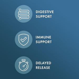 Probióticos de marca privada de alta calidad que promueven la digestión, apoyan la salud intestinal y el sistema inmunológico en cápsulas. - Product Image 3