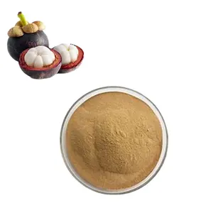 Wholesale Price Organic Pure Natural Food Grade Fresh Extract Powder Mangosteen