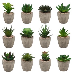 Le migliori <span class=keywords><strong>piante</strong></span> succulente <span class=keywords><strong>artificiali</strong></span> in vaso reali come Mini selezionate per la decorazione del Desktop - Product Image 1
