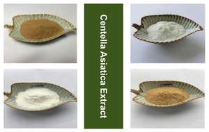 En kaliteli ot özü Gotu Kola ekstresi toz <span class=keywords><strong>Centella</strong></span> Free ca tozu Free coside ve Madecassoside ücretsiz örnekleri ile - Product Image 3