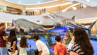 Giant Animatronic Whale Shark Sea Animal Whale Shark Model Customize for Water Park