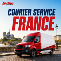 Service de messagerie rapide Chine-France, transitaire FBA, inspection de fret, reconditionnement, étiquetage, expédition porte-à-porte