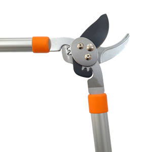 Tijeras de podadora de derivación profesional, herramienta de mano para el cuidado y gestión de árboles frutales de jardín, podadora de derivación - Product Image 3