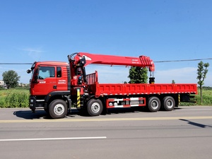 Kualitas tinggi HOWO 30 <span class=keywords><strong>Ton</strong></span> truk derek dengan Zoomlion silinder dan pompa <span class=keywords><strong>Tadano</strong></span> 25m angkat tinggi untuk Konstruksi Industri - Product Image 3
