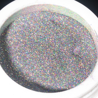 Poudre à Ongles Laser Marque Privée Pigment Magnétique Poussière Chrome Haute Brillance Couleur Arc-en-Ciel Paillettes Poudre à Ongles pour Nail Art Beauté