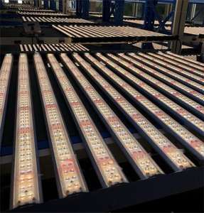 2023 alto PPFD <span class=keywords><strong>Led</strong></span> <span class=keywords><strong>cultivo</strong></span> <span class=keywords><strong>Led</strong></span> crece luz 1000W <span class=keywords><strong>para</strong></span> invernadero hidropónico <span class=keywords><strong>para</strong></span> crecimiento interior <span class=keywords><strong>para</strong></span> hidropónico - Product Image 2