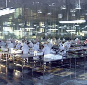 Châtaignes surgelées décortiquées, emballées sous vide, norme d'exportation, vente en gros - Product Image 4