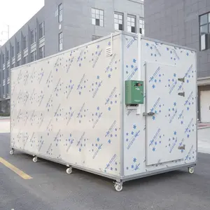 Contenitore refrigerato per celle frigorifere congelate con pannello in poliuretano industriale di dimensioni personalizzate