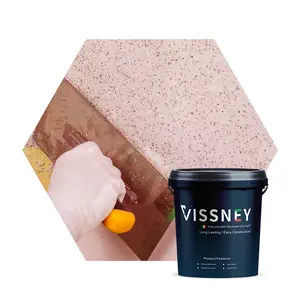 Vissney Asian Paint Anti-Riss Outdoor Textur Haus Wandfarbe