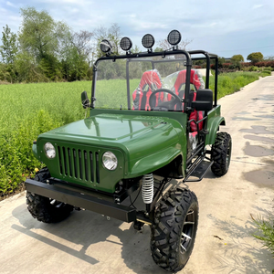 Mini Jeep 250CC, couleur personnalisée, véhicule tout-terrain à essence pour adultes, utilisation en ferme, ranch, resort et propriété - Product Image 1