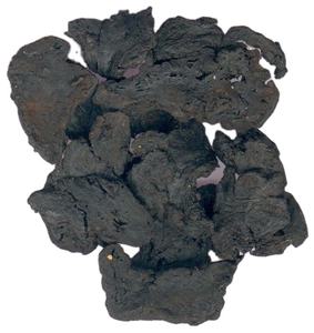 舒地黄（シューディーホウ）伝統漢方薬乾燥地黄根、お買い得価格 - Product Image 6