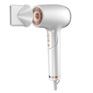 Hair Dryer F8116 Brushless Motor High Speed Ionic Household Quiet Electric With Concentrator And Diffuser Nozzle - Product Image 3