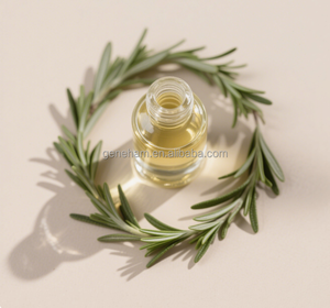 Extracto de hierbas de grado alimenticio directo de fábrica, aceite de romero con infusión de biotina, ácido carnósico para fortalecer el cabello, tambor de botella disponible - Product Image 2