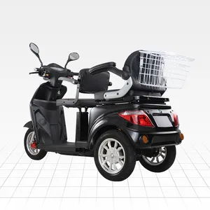 VISTA-L2 Electric Scooter 2 Seater 3 Wheel Electric Mobility Scooter Charger for Scooter with Adjustable Seat