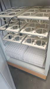 Incubateur d'œufs d'autruche électrique numérique à commande automatique fabriqué en Chine avec retournement automatique des œufs - Product Image 4