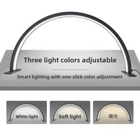 Lampe de bureau LED en forme de U à trois températures de couleur pour salon de beauté, tatouage, sourcils et cils, idéale pour l'extension d'ongles en forme de demi-lune