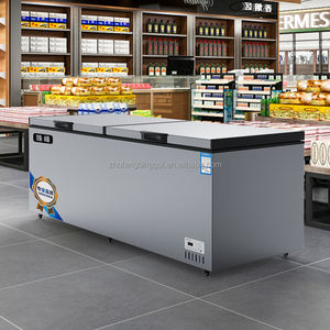 Congelador Horizontal Comercial de 526 L con Puerta de Burbuja de Desarrollo Superior, Congelador para Carne Congelada, Arcón Congelador Personalizado - Product Image 1