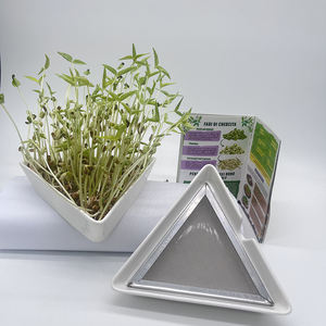 Venta al por mayor Bandejas de germinación de semillas Cuencos de cerámica triangulares con malla de acero Mung Bean Alfalfa Wheatgrass Germinación - Product Image 6