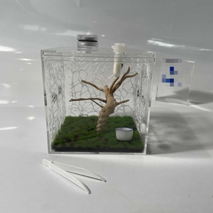 Factory Wholesale Clear Lucite Jumping Spider Feeding Cage Acrylic Display Enclosure for Reptile Breeding Observation - Product Image 3