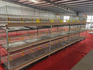 Công nghiệp lớn h loại gà Coop Nhà Gia cầm trang trại tự động <span class=keywords><strong>x</strong></span>úc <span class=keywords><strong>x</strong></span>ích Pin nâng cao hệ thống lồng gà cho lớp nâng cao - Product Image 3