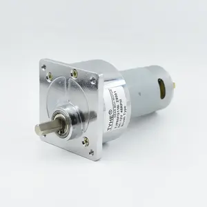 Manufacturer 60mm 6v 12v 18v 24v rs 550 rs555 30w 15w 10 watt 10rpm 20rpm 100kg high torque low rpm dc geared motor for bbq