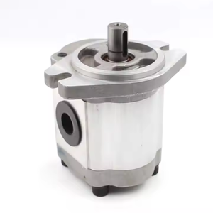 CBHS-FL-316 16 cc/rev usine directe et personnalisable 16 cc/rev pompe à engrenages hydraulique matériel de fonte - Product Image 2