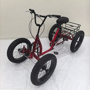 Bicicletta Fuoristrada a Quattro <span class=keywords><strong>Ruote</strong></span> con Pneumatici Larghi, Telaio in Acciaio, Forcella in Alluminio, Freni a Disco, <span class=keywords><strong>Ruote</strong></span> da 20 Pollici - Product Image 2