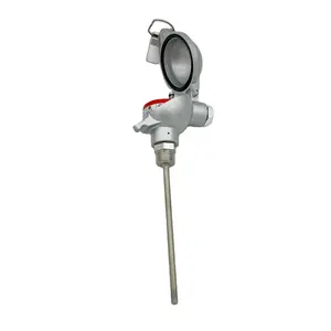 High Accuracy Stainless Steel Probe Pt100 Temperature Sensor Rtd Pt100 With Junction Box WZP230
