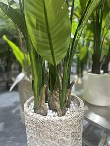 Nuovi prodotti uccello del paradiso pianta artificiale all'ingrosso falso viaggiatore palma da interno finto impianto decorativo per la casa nuovo anno Deco - Product Image 5