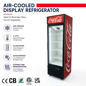Enfriador de Bebidas Vertical, Equipo de Refrigeración para Cola, Refrigerador Metálico con Puerta Corredera de Vidrio, Refrigerador para Bebidas Frías Coca-Cola - Product Image 6