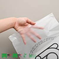 Sac en plastique givré à fermeture éclair pour vêtements avec Logo, sac d'emballage étanche à glissière, sac en plastique à glissière de stockage personnalisé