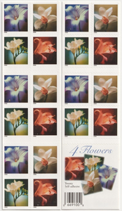 2021 Crow's Story 2014 Songbird Sellos Postales Eternos <span class=keywords><strong>de</strong></span> EE. UU. 5 Hojas <span class=keywords><strong>de</strong></span> 100 Unidades Mercancía en Stock - Product Image 5