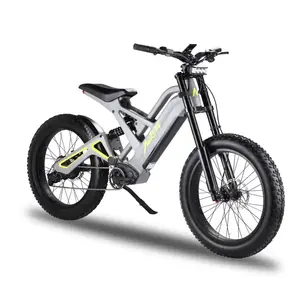 优质电动自行车24英寸1200瓦铝合金车架折叠脂肪轮胎电动自行车价格750瓦电动自行车