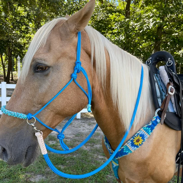 Lunghina Per Cavalli In Cotone LJQ - Con Catena E Gancio Antipanico, Rosa, Lunghezza 2 Metri - Foto 13