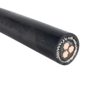 Câble d'alimentation souterrain pour photovoltaïque, conducteur en cuivre 600/1000V, isolation XLPE, blindage en bande d'acier, gaine LSZH