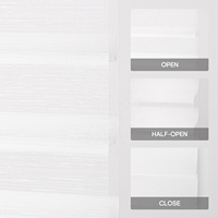 Stores à enroulement motorisés occultants intelligents électriques sans perçage, compatibles Zigbee Alexa Google Matter, type Shangri-La pour fenêtre