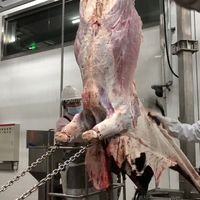 Équipement complet sur mesure pour l'abattage de bovins, ligne d'assemblage automatique pour la transformation des carcasses de bœuf en abattoir