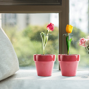 Dropshipping 60cm Single Stem Plant Stakes Stainless Steel <strong>Flower</strong> <strong>Support</strong> Rings for Amaryllis Orchid Lily Rose and Tomatoes - Product Image 4