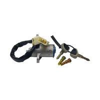 Offre de Gros Livraison Rapide Interrupteur de Cylindre de Démarrage 2+2 Broches pour 4837683
