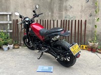 Benelli Leoncino 500 Retro Scrambler 500cc Moteur EFI Suspension Réglable Affichage Numérique Vitesse Maximale >180km/h. pour