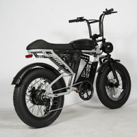 Vélo Électrique Rétro ZUMI US Brazil Stock avec Pneus Larges pour Adultes, Moteur 1000W et Batterie 15Ah, Personnalisation OEM ODM, Vente en Gros Direct Usine