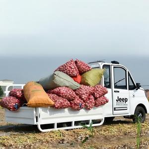 El vehículo eléctrico de cuatro ruedas puede transportar verduras y frutas. - Product Image 6