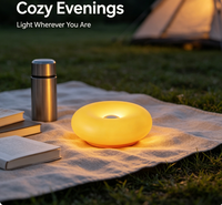 Veilleuse LED à détecteur de mouvement blanc chaud, magnétique, rechargeable par USB, activée par le corps