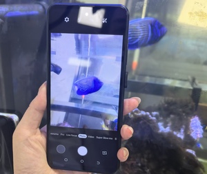 Teléfono Inteligente Camon 50 Pro en Oferta, 16GB+1TB, Doble SIM, Android 15.0 Original, Desbloqueado, Envío Gratis a China - Product Image 3